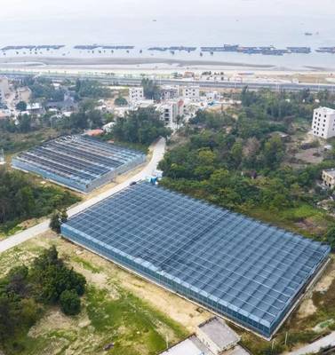 茂名西葛“百千萬工程”示范點(diǎn) 新晉“城市陽臺”網(wǎng)紅打卡地